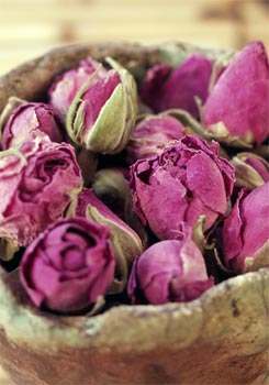 Dried rose